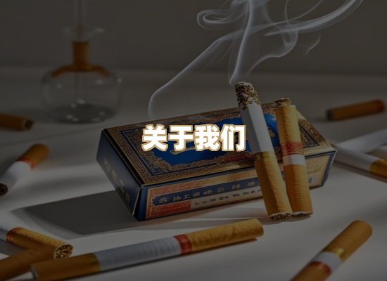 关于云歌烟网